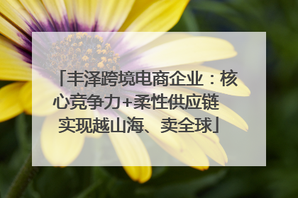 丰泽跨境电商企业：核心竞争力+柔性供应链 实现越山海、卖全球