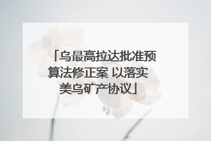 乌最高拉达批准预算法修正案 以落实美乌矿产协议