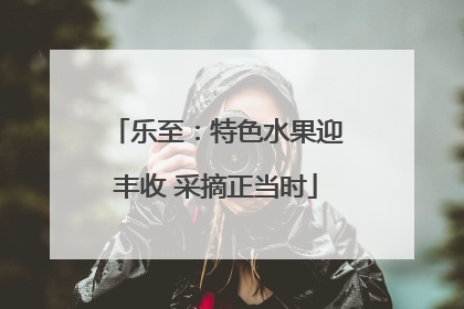 乐至：特色水果迎丰收 采摘正当时