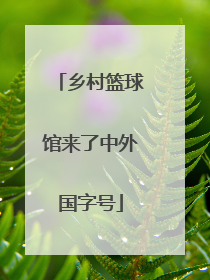 乡村篮球馆来了中外国字号