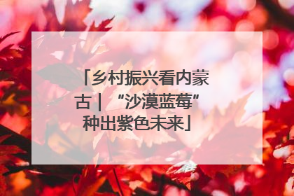 乡村振兴看内蒙古｜“沙漠蓝莓”种出紫色未来