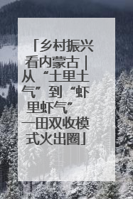 乡村振兴看内蒙古｜从“土里土气”到“虾里虾气” 一田双收模式火出圈