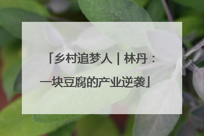 乡村追梦人｜林丹：一块豆腐的产业逆袭