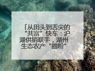 从田头到舌尖的“共富”快车：沪湖供销联手，湖州生态农产“圈粉”大上海