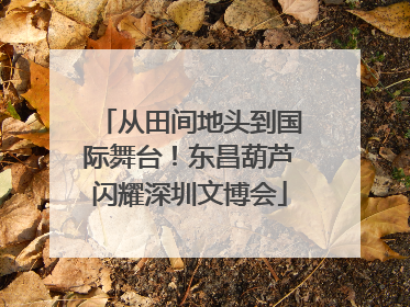 从田间地头到国际舞台！东昌葫芦闪耀深圳文博会