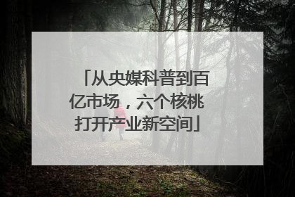 从央媒科普到百亿市场，六个核桃打开产业新空间