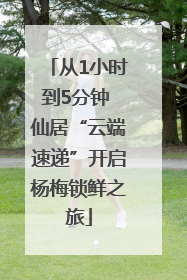 从1小时到5分钟 仙居“云端速递”开启杨梅锁鲜之旅