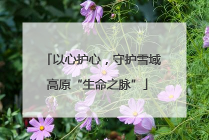 以心护心，守护雪域高原“生命之脉”