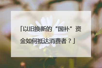 以旧换新的“国补”资金如何抵达消费者？