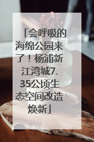 会呼吸的海绵公园来了！杨浦新江湾城7.35公顷生态空间改造焕新