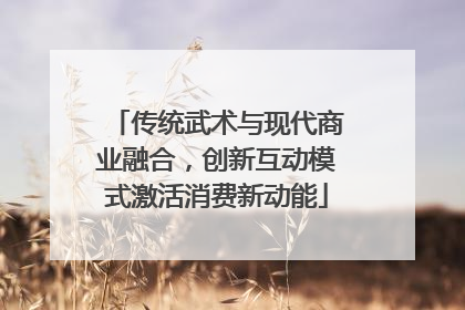 传统武术与现代商业融合，创新互动模式激活消费新动能