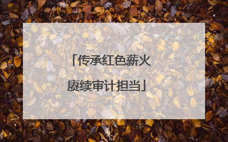 传承红色薪火 赓续审计担当