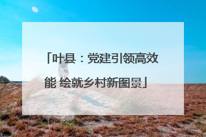叶县：党建引领高效能 绘就乡村新图景