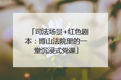 司法场景+红色剧本：博山法院里的一堂沉浸式党课