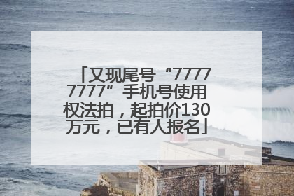 又现尾号“77777777”手机号使用权法拍，起拍价130万元，已有人报名