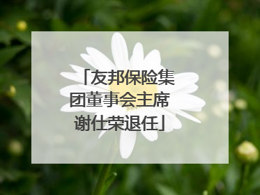 友邦保险集团董事会主席谢仕荣退任
