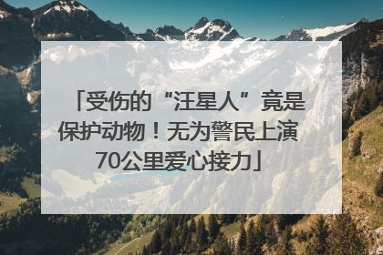 受伤的“汪星人”竟是保护动物！无为警民上演70公里爱心接力