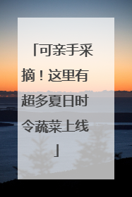 可亲手采摘！这里有超多夏日时令蔬菜上线