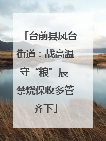 台前县凤台街道：战高温守“粮”辰 禁烧保收多管齐下