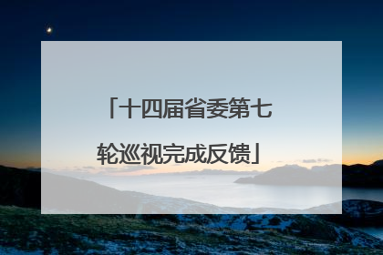 十四届省委第七轮巡视完成反馈