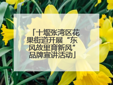 十堰张湾区花果街道开展“东风故里育新风”品牌宣讲活动
