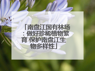 南盘江国有林场：做好珍稀植物繁育 保护南盘江生物多样性