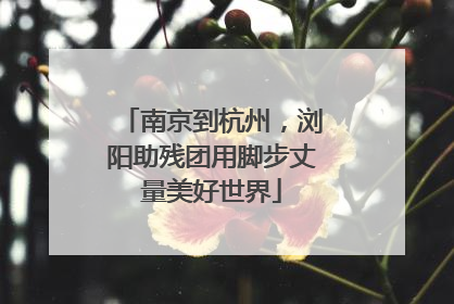 南京到杭州，浏阳助残团用脚步丈量美好世界