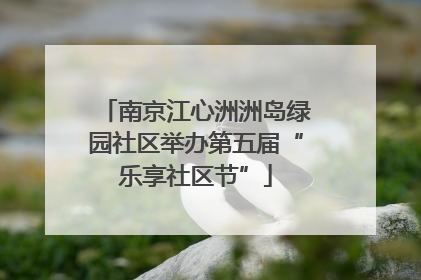 南京江心洲洲岛绿园社区举办第五届“乐享社区节”