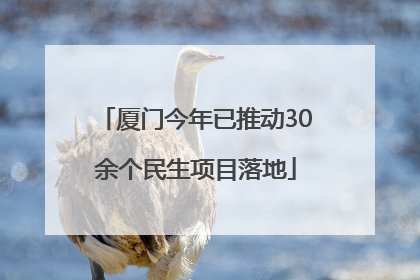 厦门今年已推动30余个民生项目落地