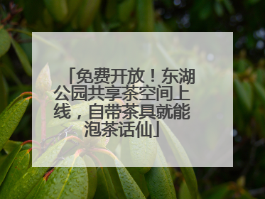 免费开放！东湖公园共享茶空间上线，自带茶具就能泡茶话仙