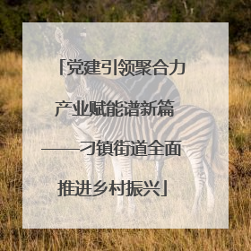 党建引领聚合力 产业赋能谱新篇——刁镇街道全面推进乡村振兴