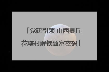 党建引领 山西灵丘花塔村解锁致富密码