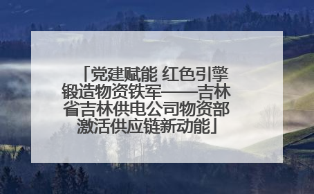 党建赋能 红色引擎锻造物资铁军——吉林省吉林供电公司物资部激活供应链新动能