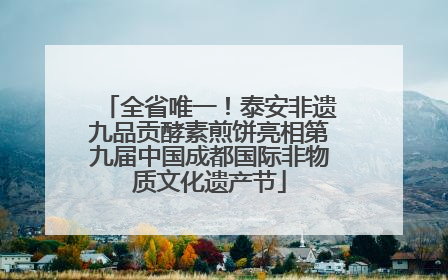 全省唯一！泰安非遗九品贡酵素煎饼亮相第九届中国成都国际非物质文化遗产节