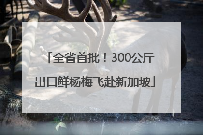 全省首批！300公斤出口鲜杨梅飞赴新加坡