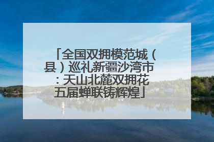 全国双拥模范城（县）巡礼新疆沙湾市：天山北麓双拥花 五届蝉联铸辉煌