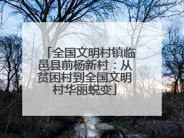 全国文明村镇临邑县前杨新村：从贫困村到全国文明村华丽蜕变