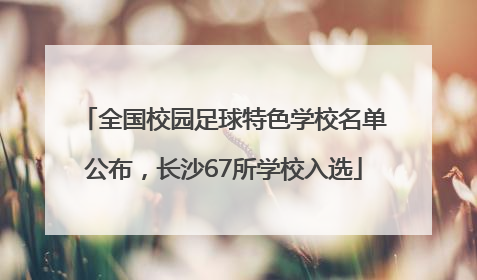 全国校园足球特色学校名单公布，长沙67所学校入选