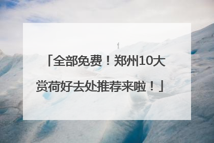 全部免费！郑州10大赏荷好去处推荐来啦！