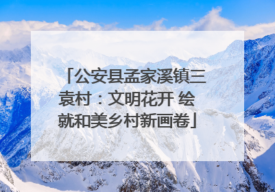公安县孟家溪镇三袁村：文明花开 绘就和美乡村新画卷