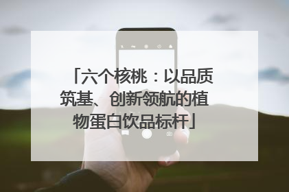 六个核桃：以品质筑基、创新领航的植物蛋白饮品标杆
