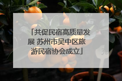 共促民宿高质量发展 苏州市吴中区旅游民宿协会成立