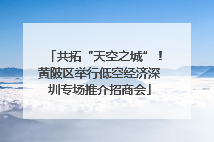 共拓“天空之城”！黄陂区举行低空经济深圳专场推介招商会