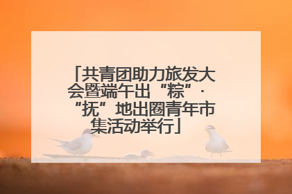 共青团助力旅发大会暨端午出“粽”·“抚”地出圈青年市集活动举行