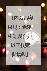 内蒙古突泉县：党建引领聚合力 以工代赈促增收