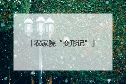 农家院“变形记”