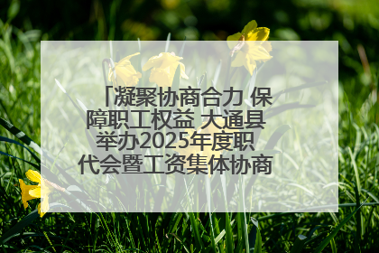 凝聚协商合力 保障职工权益 大通县举办2025年度职代会暨工资集体协商现场观摩交流活动