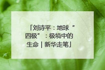 刘诗平：地球“四极”：极境中的生命｜新华走笔