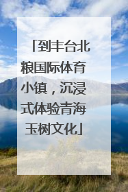 到丰台北粮国际体育小镇，沉浸式体验青海玉树文化