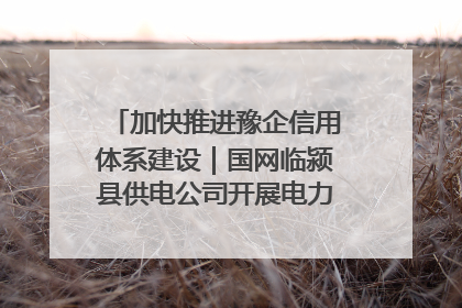 加快推进豫企信用体系建设｜国网临颍县供电公司开展电力行业信用企业现场咨询访谈工作